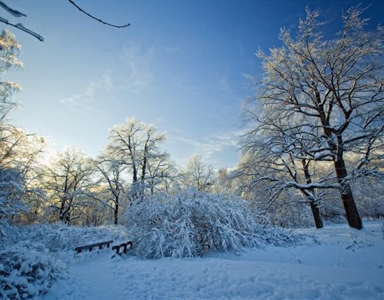 冬季风湿养护指南